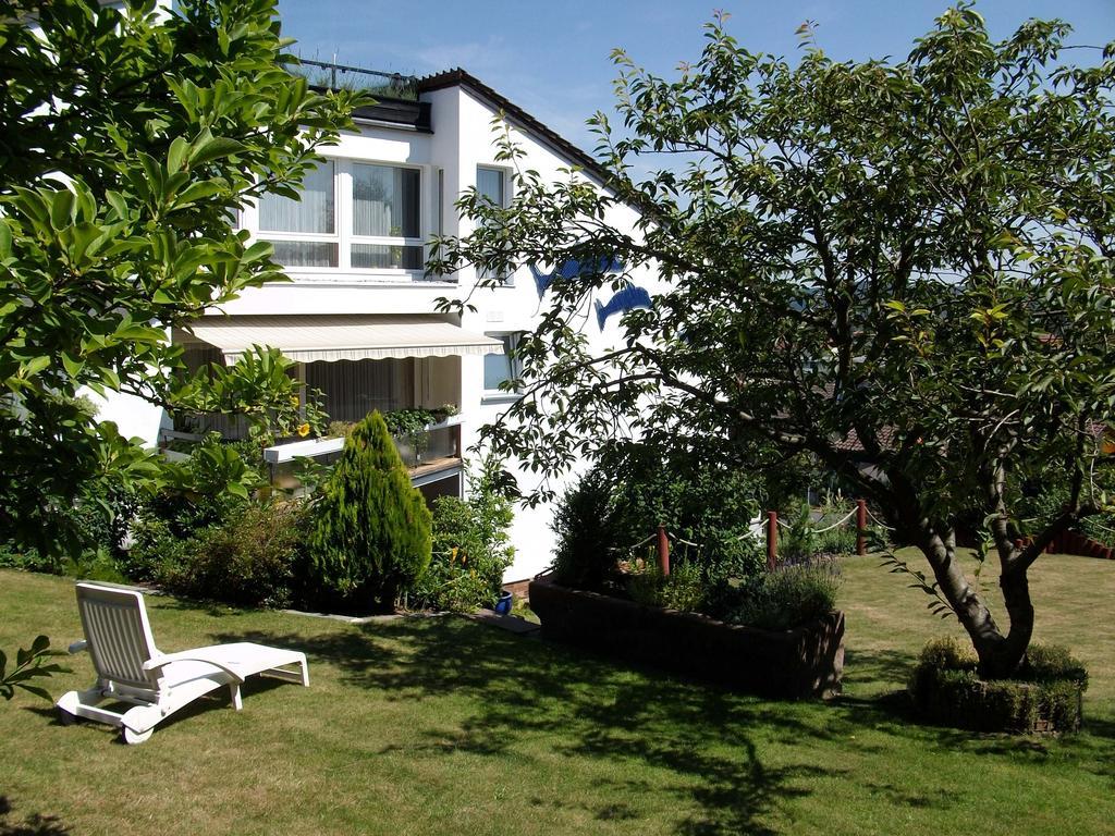 Hotel Haus Delphin à Bad Wildungen Extérieur photo